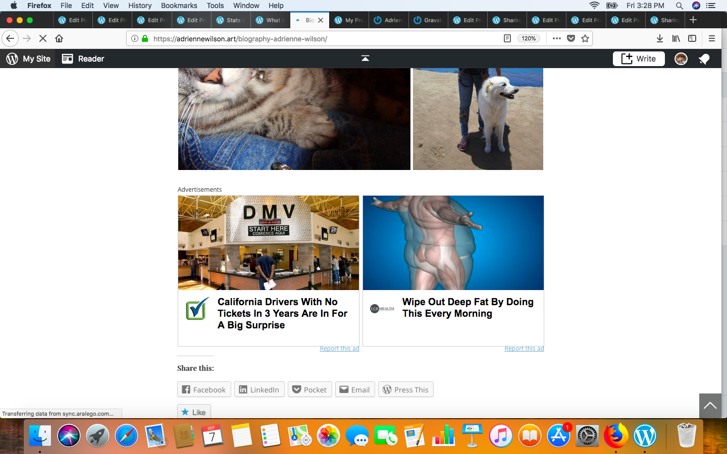 Screen Shot 2018-09-07 at 3.28.04 PM