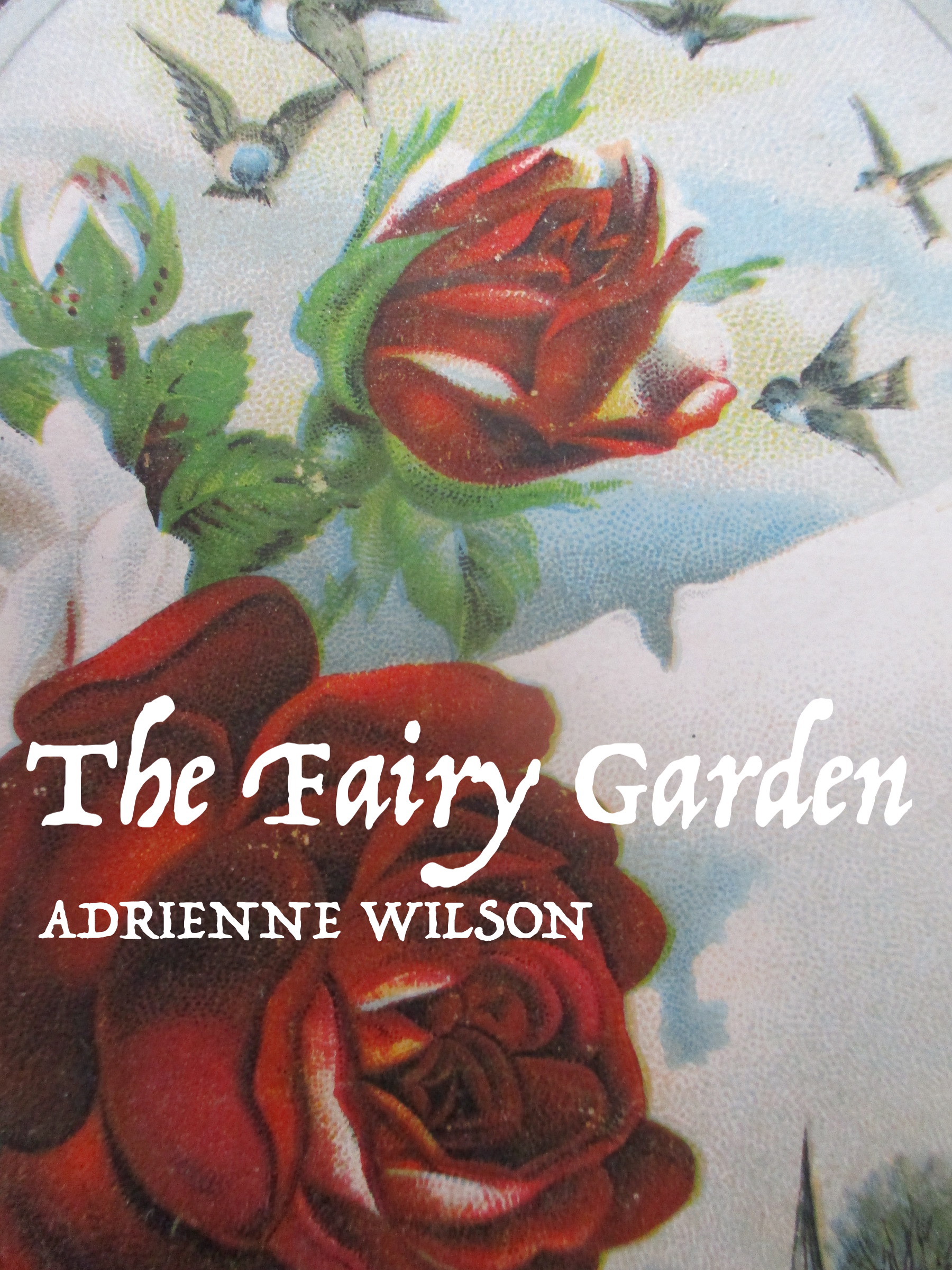 fairygarden:cover2